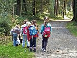 120-Waldausflug.jpg